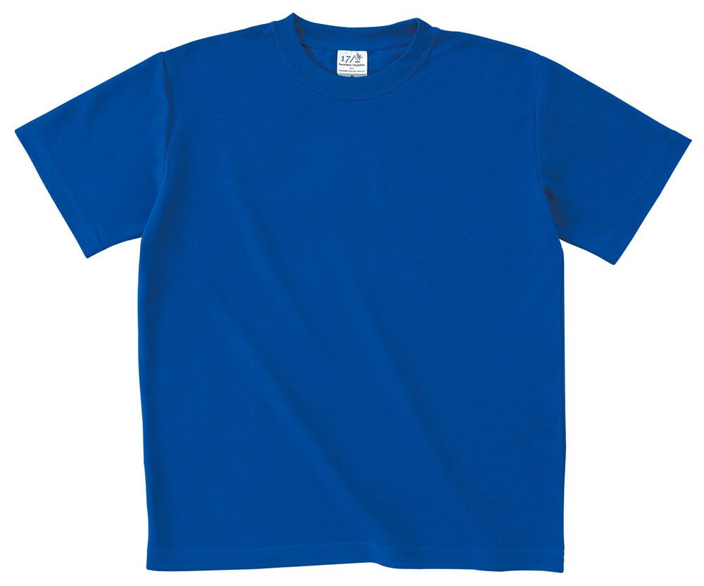 ロイヤルブルー（青色）＃20