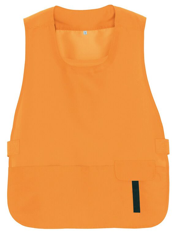 この色はオレンジ