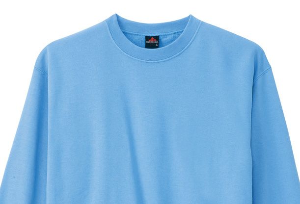 えり元のアップ写真