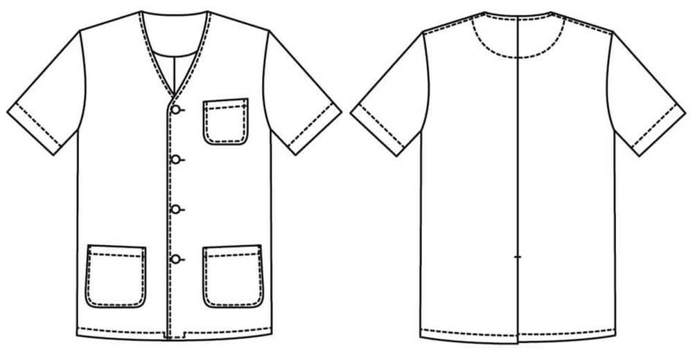 背中のイラスト