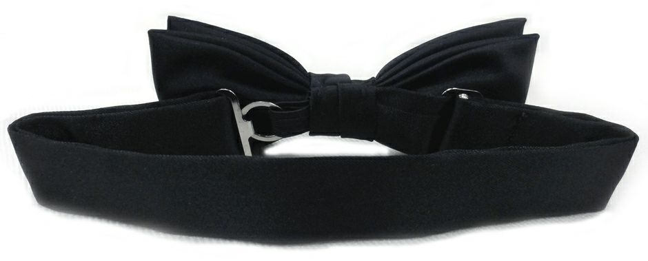 後ろからの画像