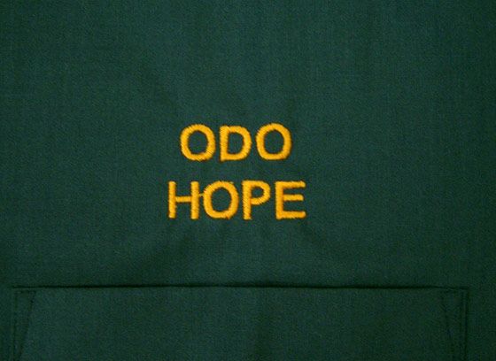 アップで撮影してみました。