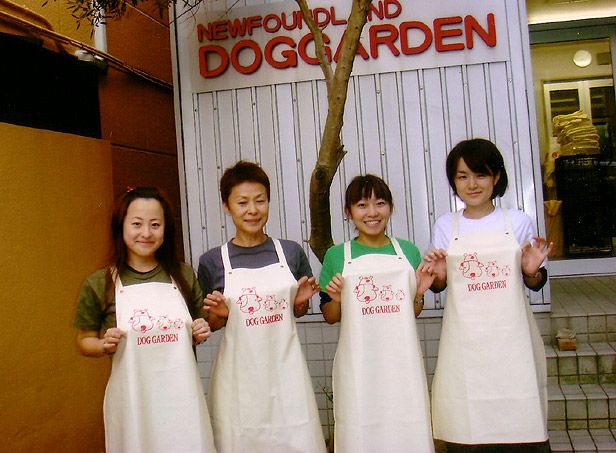 トリミング用のエプロンがバッチリ似合ってますよ！