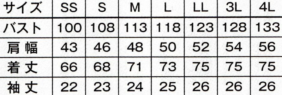 サイズ表