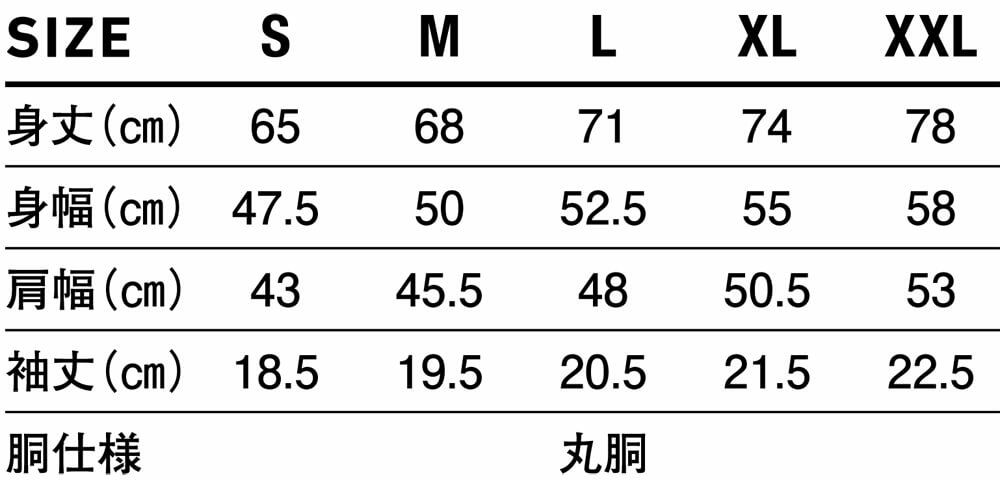 サイズ表