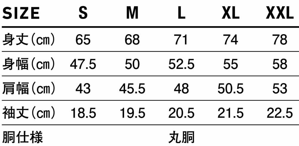 サイズ表