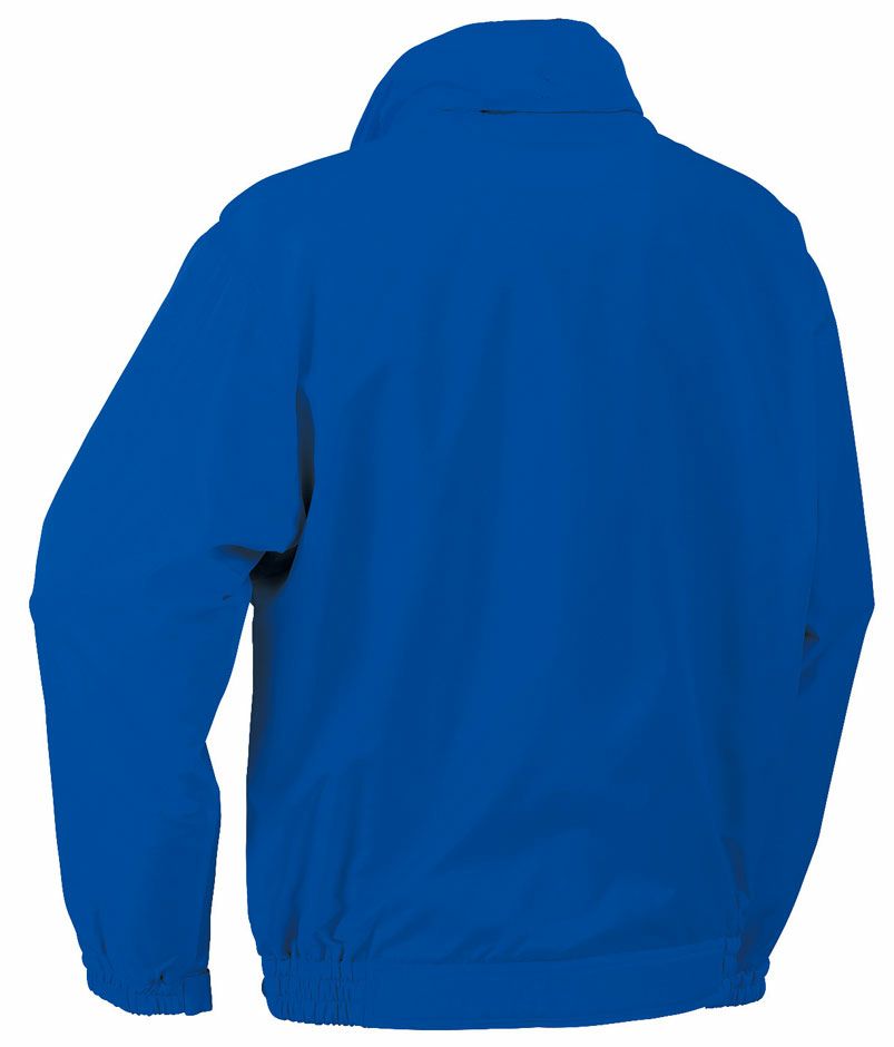 バックスタイル（背中）	