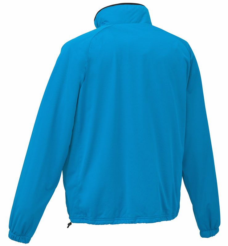 ブルーのバックスタイル