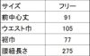 サイズ表