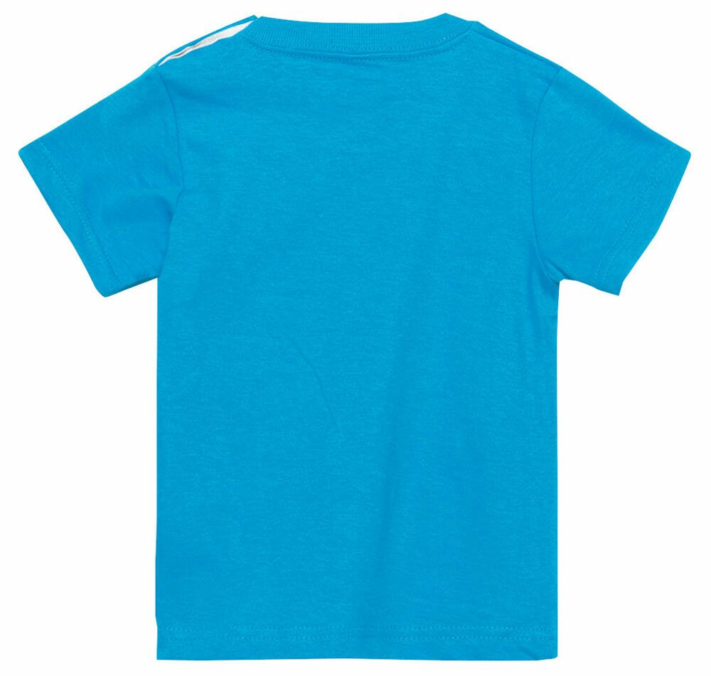 ターコイズバックスタイル