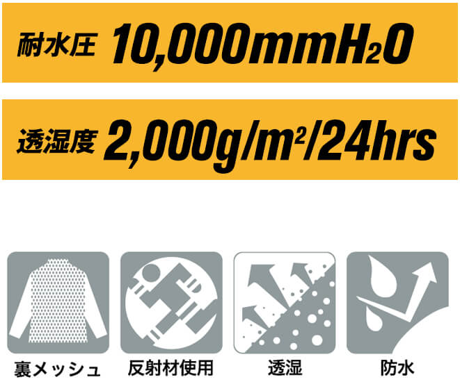 背中の反射
