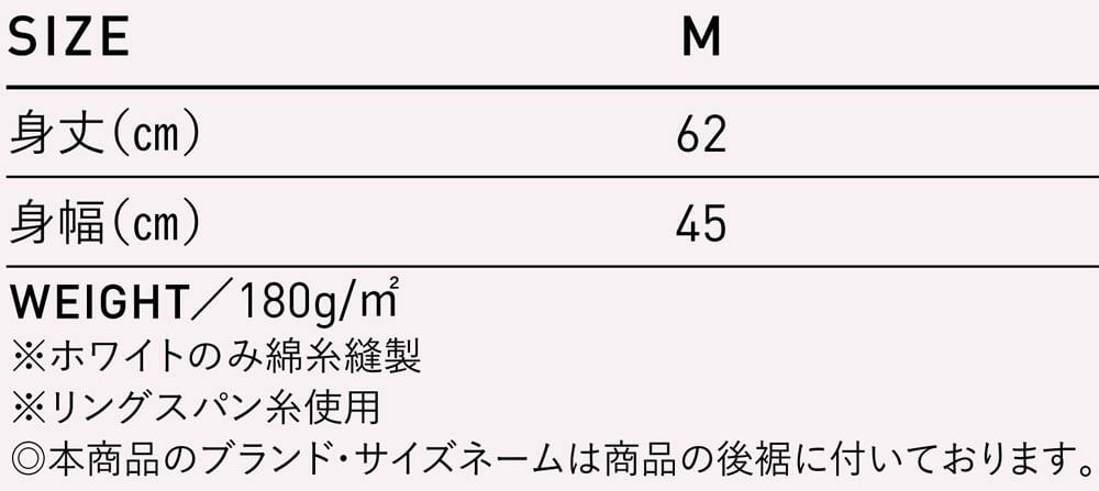 サイズ表