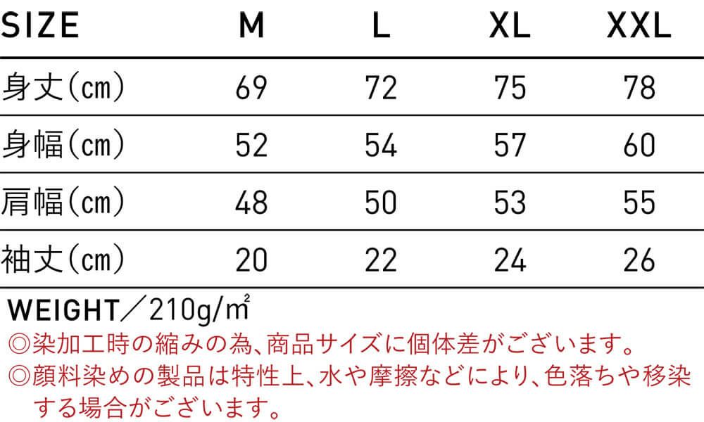 サイズ表