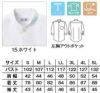 サイズ表