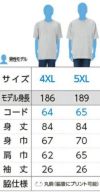 サイズ表