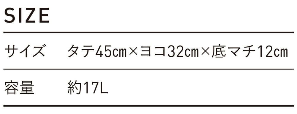 サイズ表