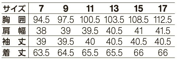 サイズ表