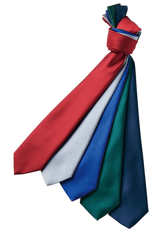 ネクタイ（無地） [AZ861266]