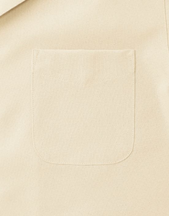 胸ポケットアリ