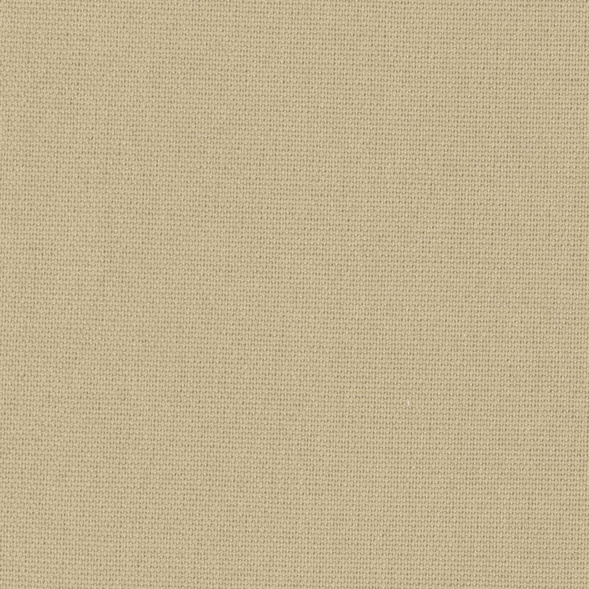 キャンパス：ベージュ