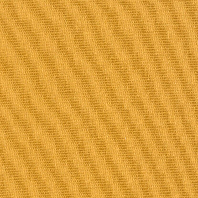 キャンパス：イエロー