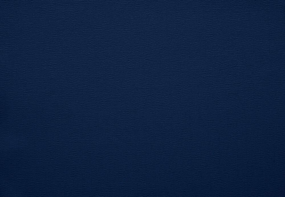 ちりめん（制電）：紺