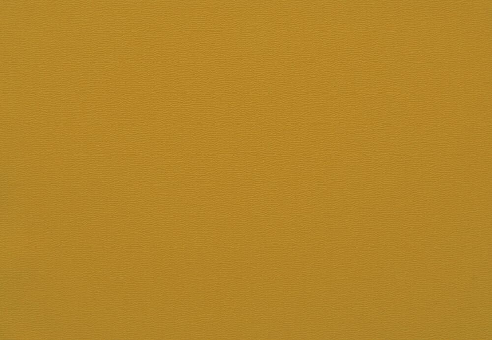 ちりめん（制電）：カラシ