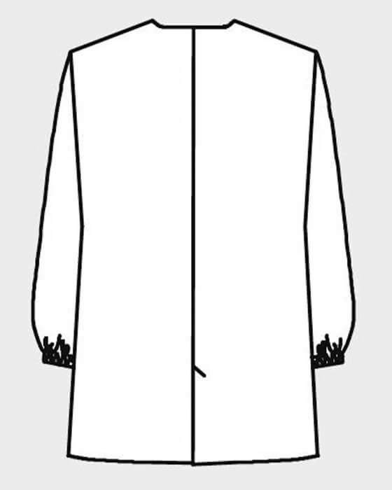 背中イラスト